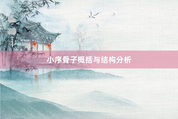 小序骨子概括与结构分析