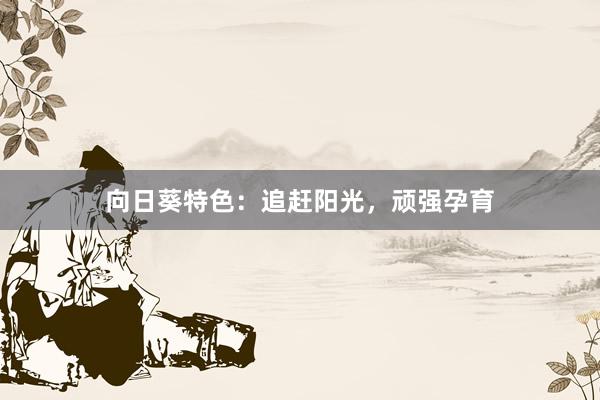 向日葵特色：追赶阳光，顽强孕育
