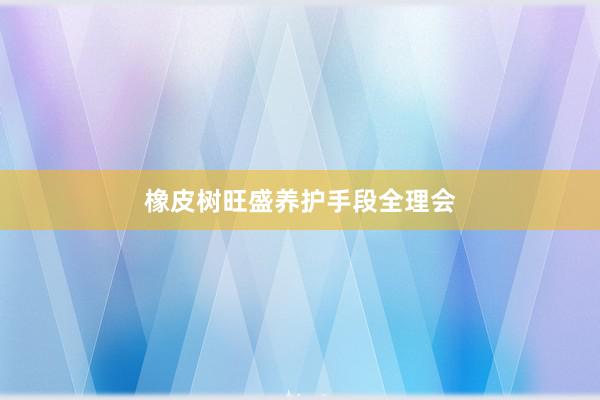 橡皮树旺盛养护手段全理会