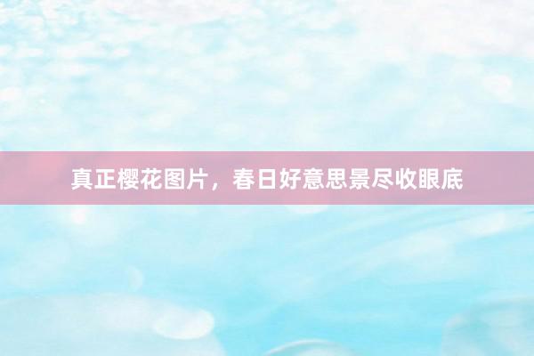 真正樱花图片，春日好意思景尽收眼底