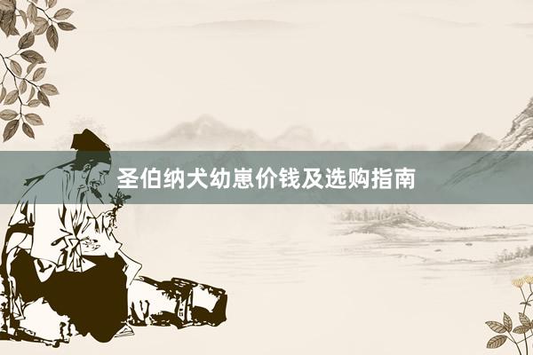 圣伯纳犬幼崽价钱及选购指南