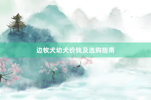 边牧犬幼犬价钱及选购指南